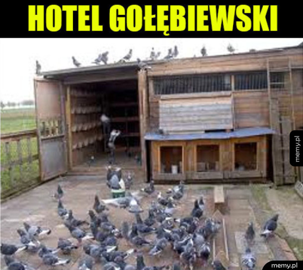 Super hotel mówili