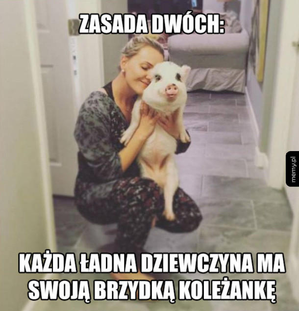 Zasada dwóch