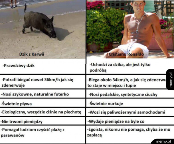 Dzik