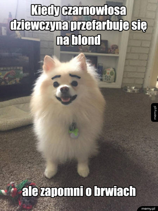 Farbowana blondynka