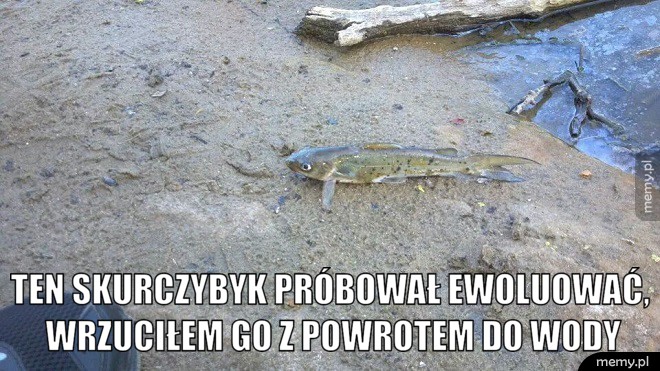 Ewolucja
