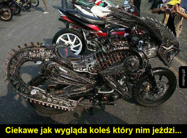 może jak predator