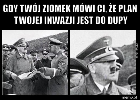             Ziomek