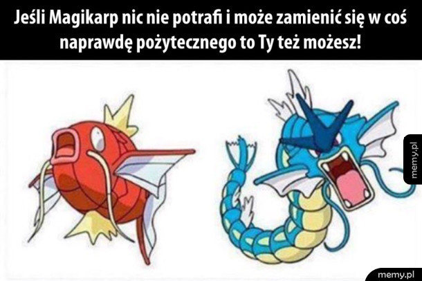 Motywacja na dziś