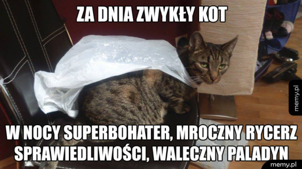 Prawdziwy superbohater