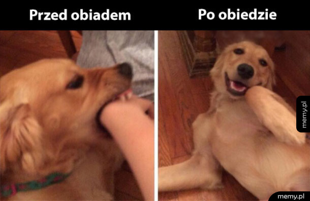 Przed i po