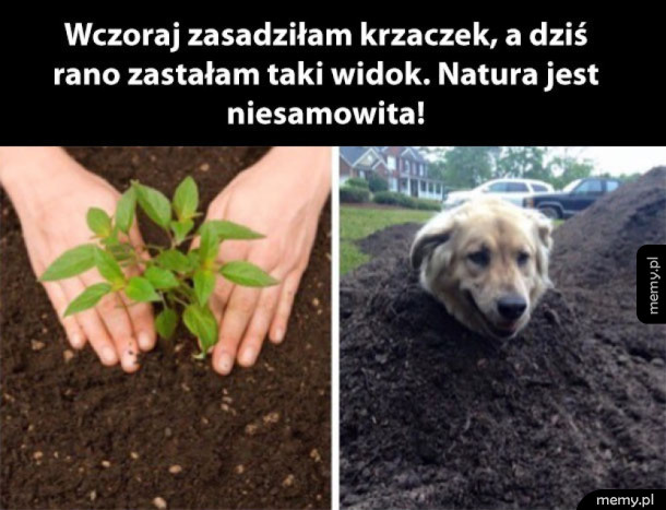 Natura jest piękna
