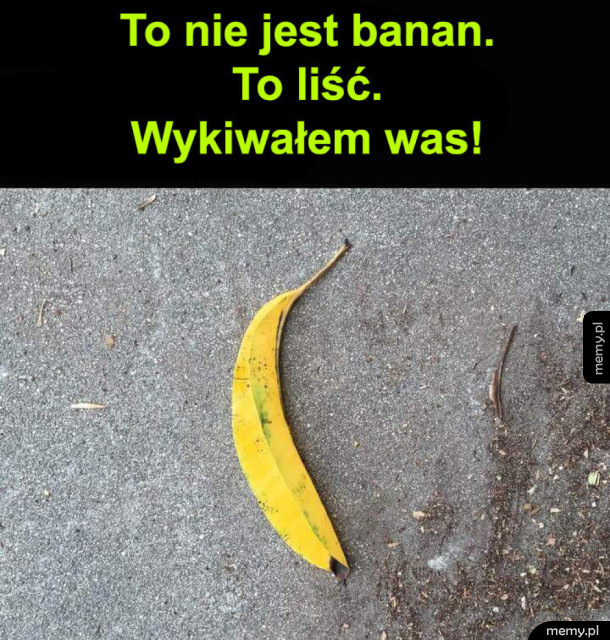 Wkręciłem was