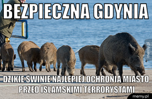Bezpieczeństwo