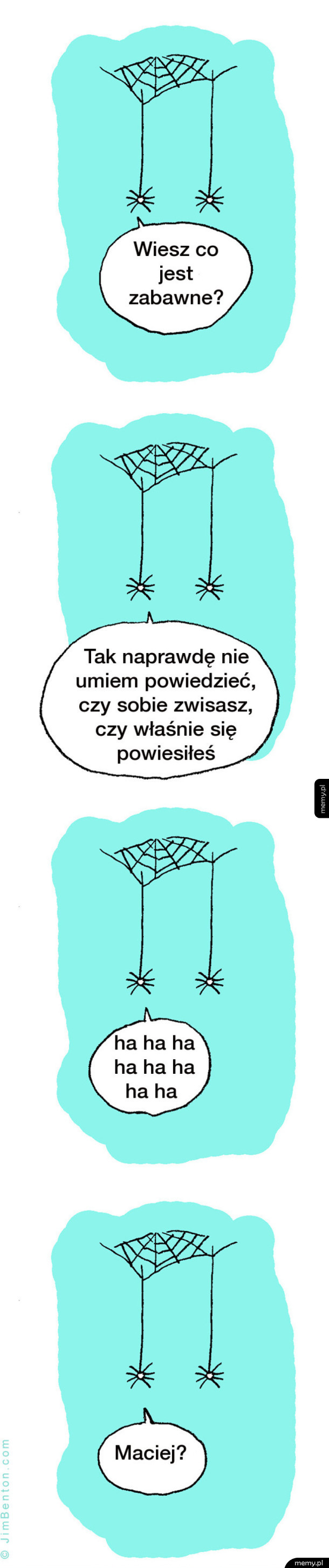 Maciej