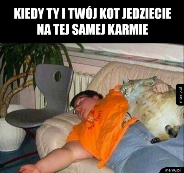 Najlepsza karma