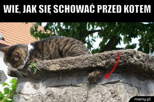 Koteł i Myszeł     