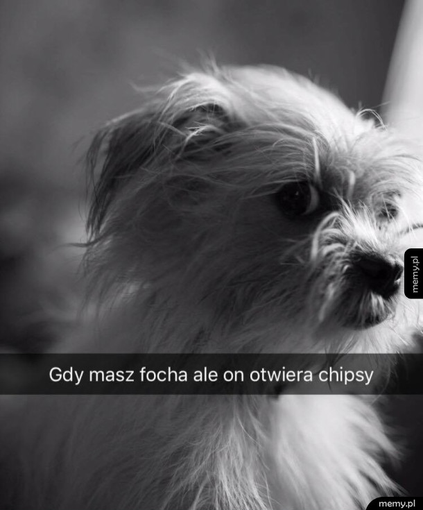Foch