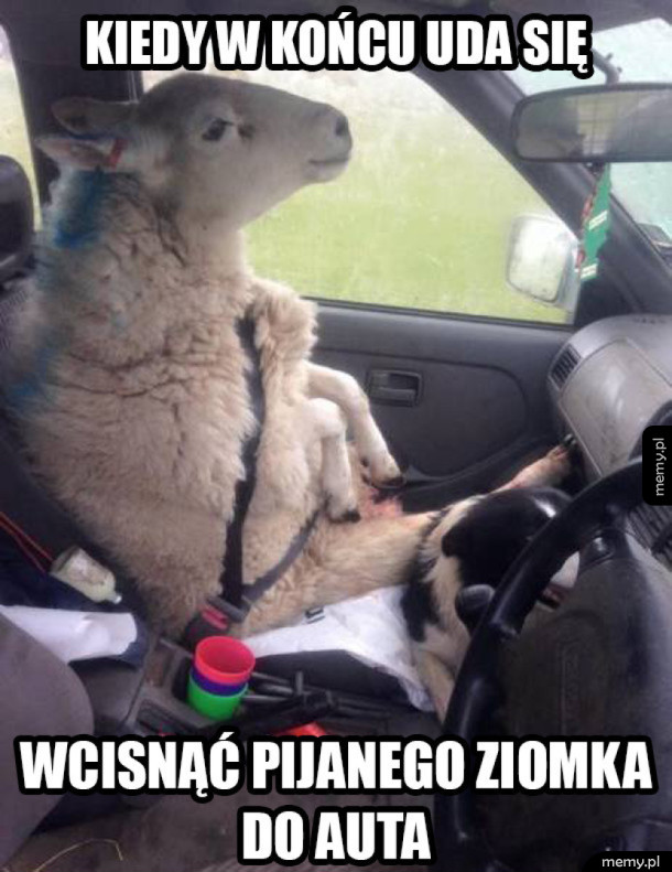 Teraz będziemy jechać