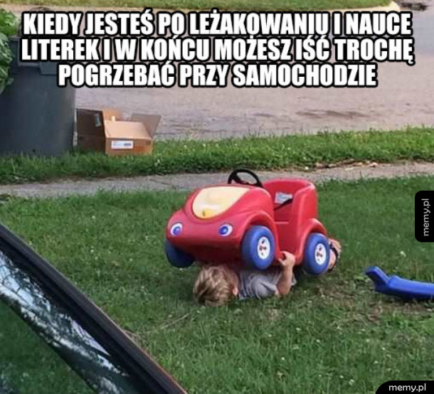 Robota czeka