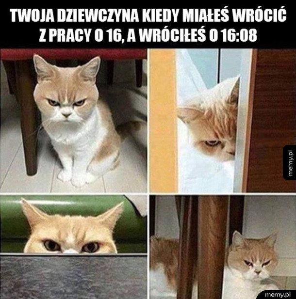 Jest lipa
