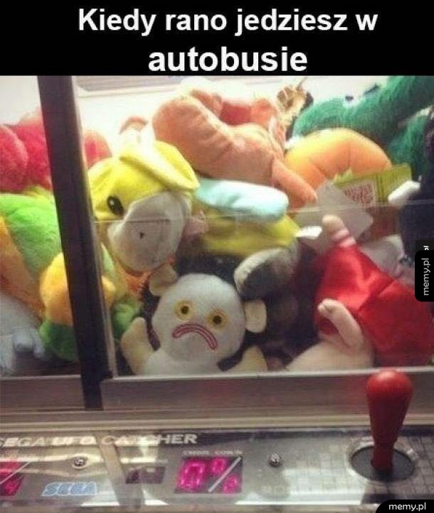 Autobus