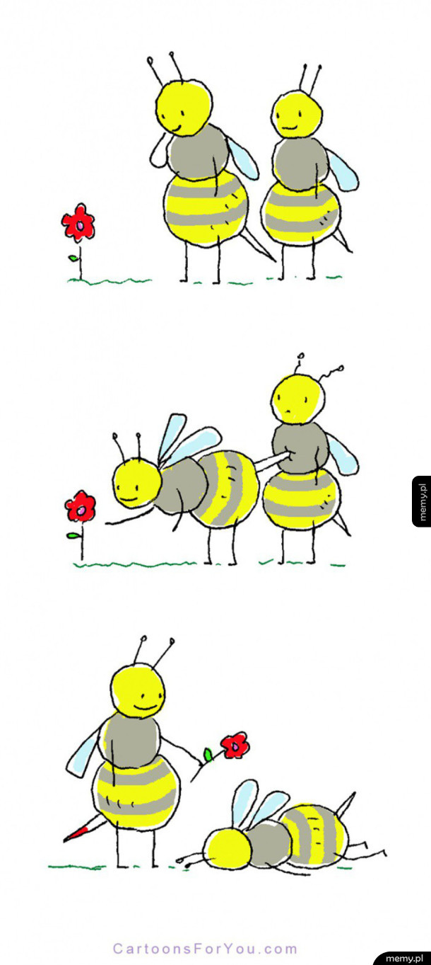 Pszczoły