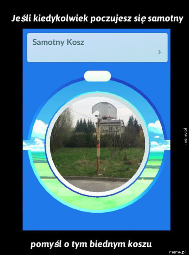 Samotny kosz