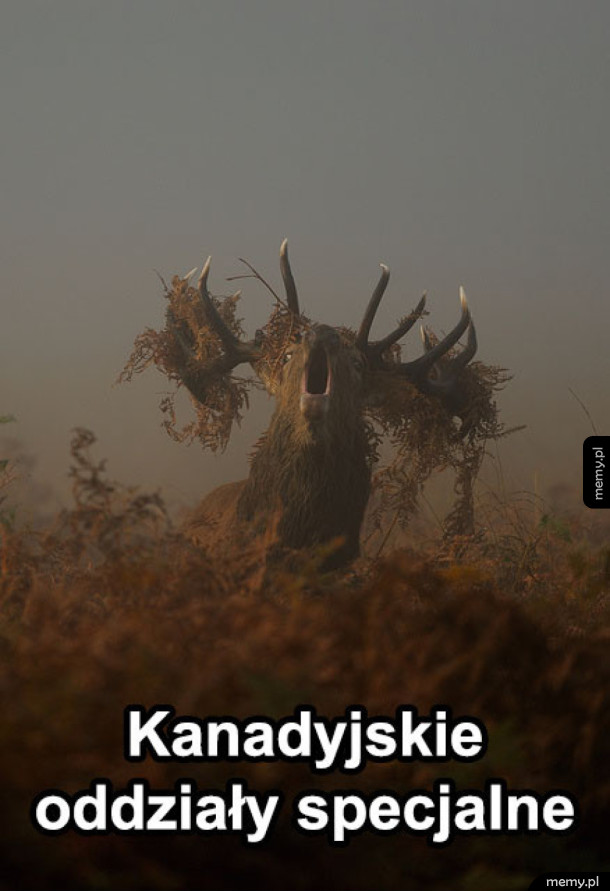 Kanada