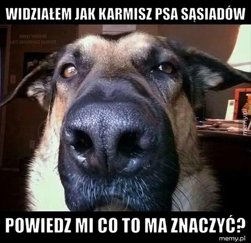                     Pieseł