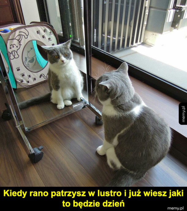 Najgorzej