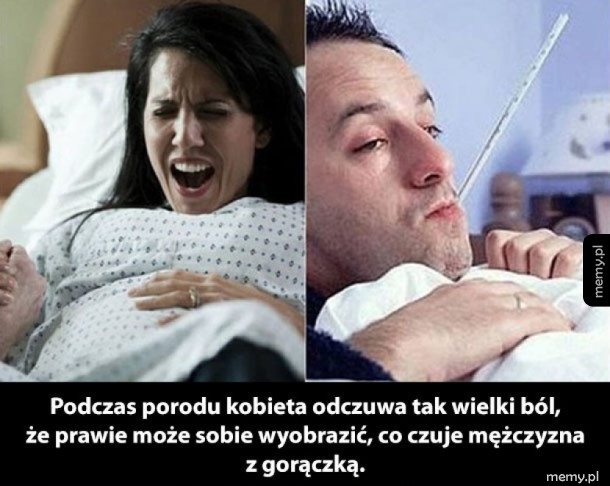 Poród