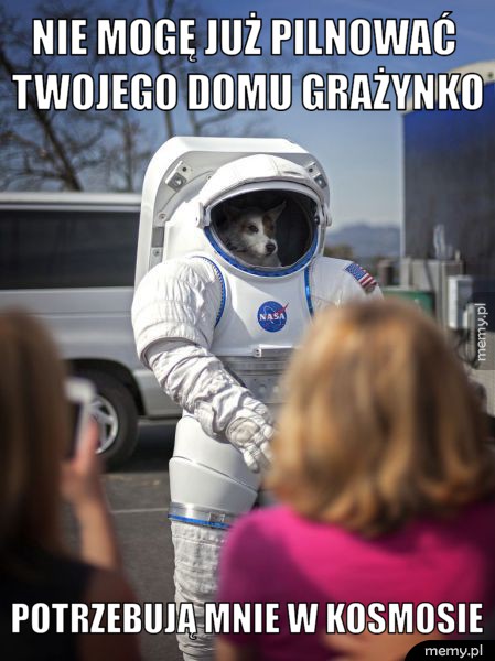 Kosmiczny pieseł