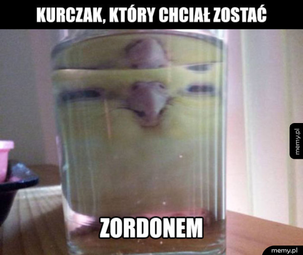 Kurczak