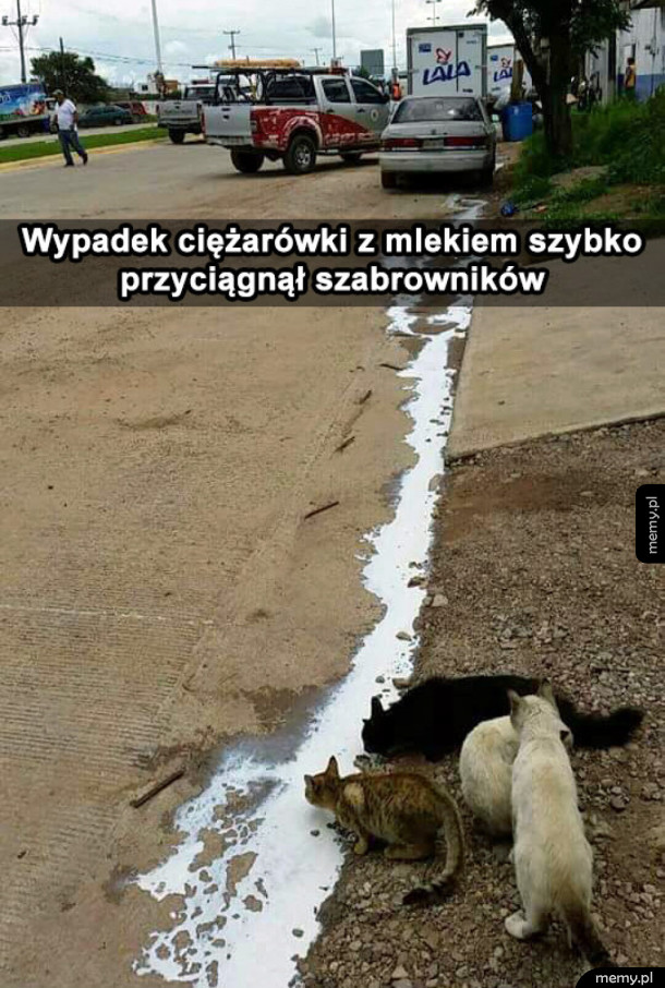 Mleko