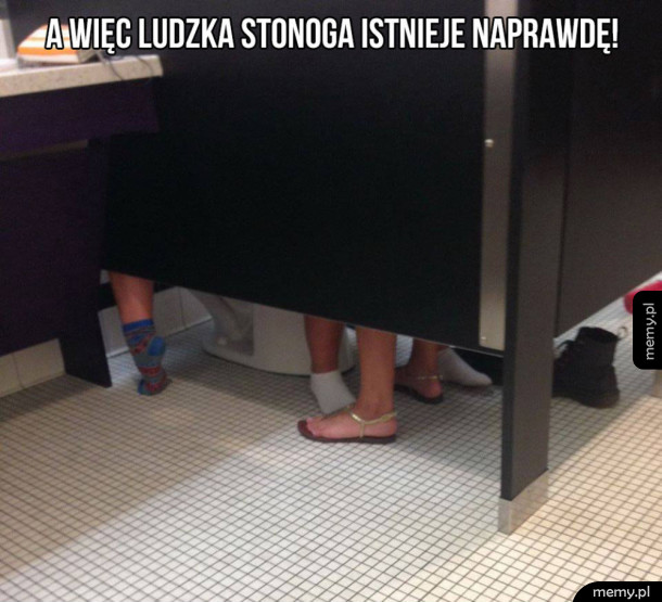 Nie kłamali