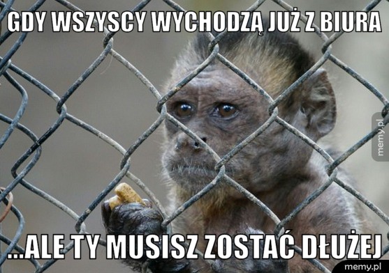 Gdy wszyscy wychodzą...