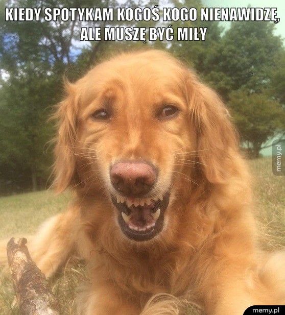 Kiedy spotykam...