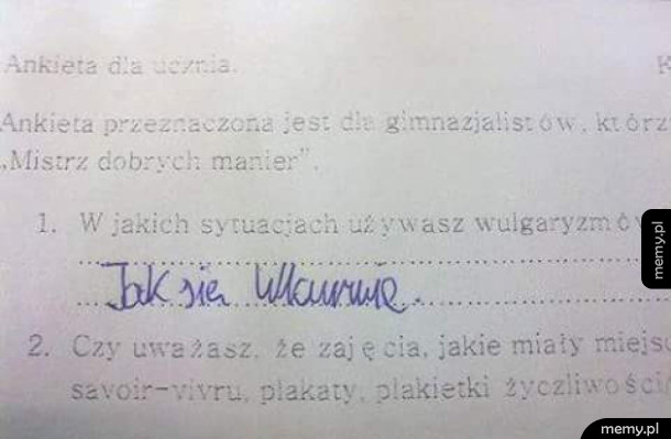 Ankieta
