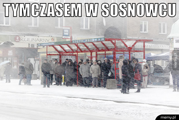 Tymczasem w Sosnowcu   