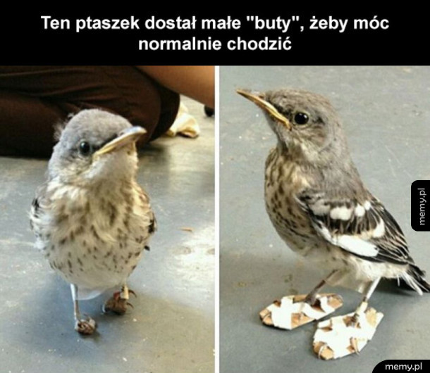 Wiara w ludzkość przywrócona