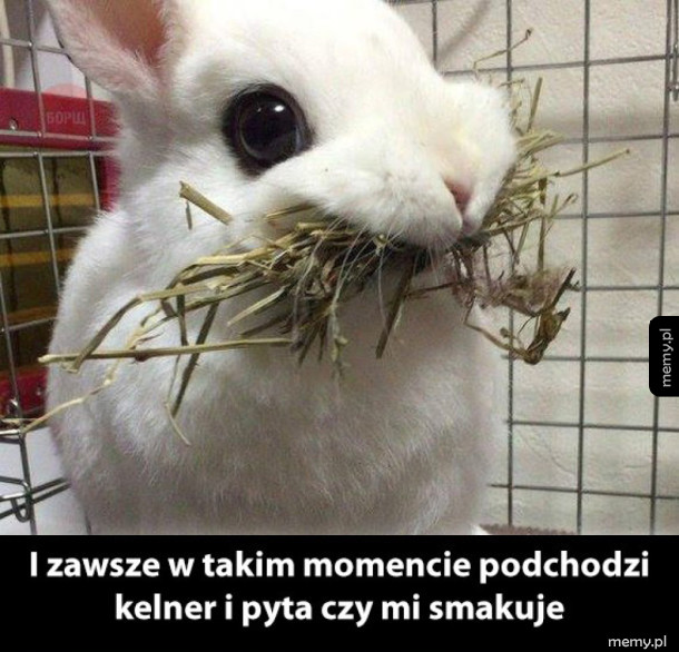 Ten moment