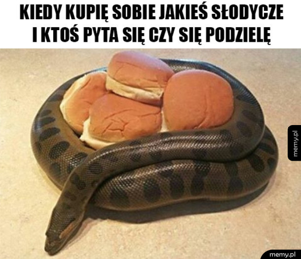 Nikomu ich nie oddam
