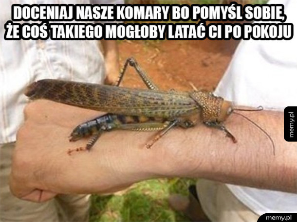 Nie narzekaj