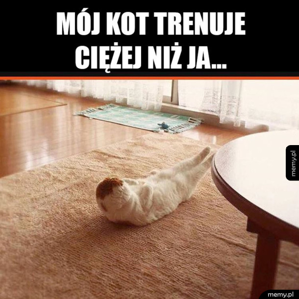 Koci trening