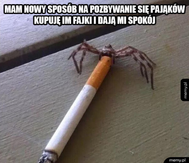 Już mnie nie męczą