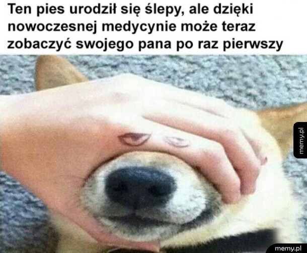 Nowoczesna medycyna