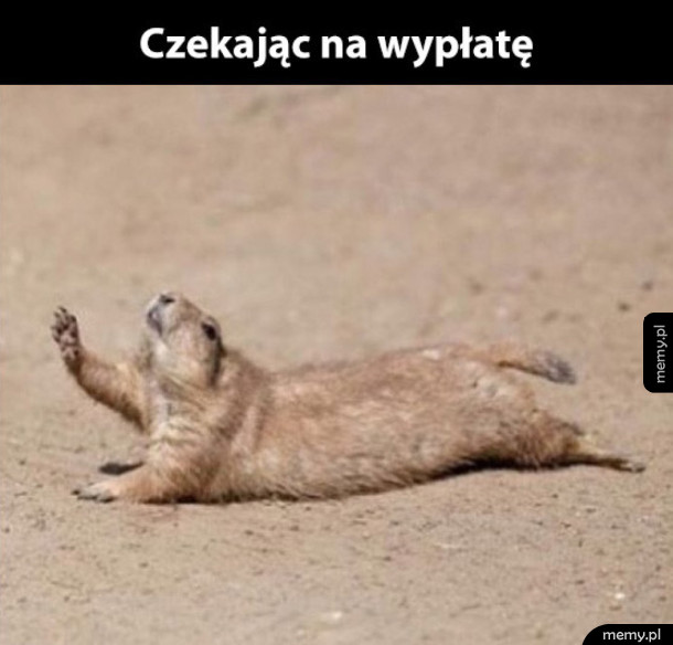 Wypłata