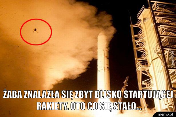  Żaba vs NASA