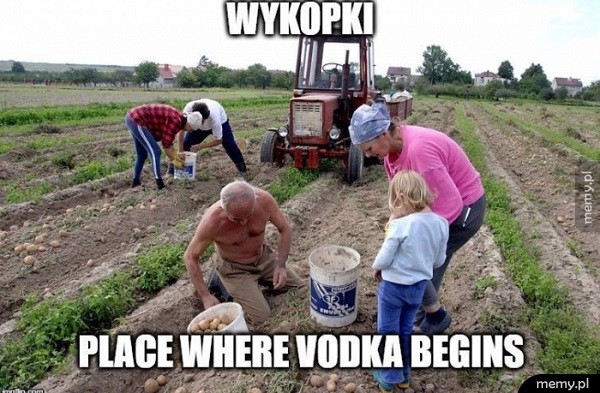 Wykopki