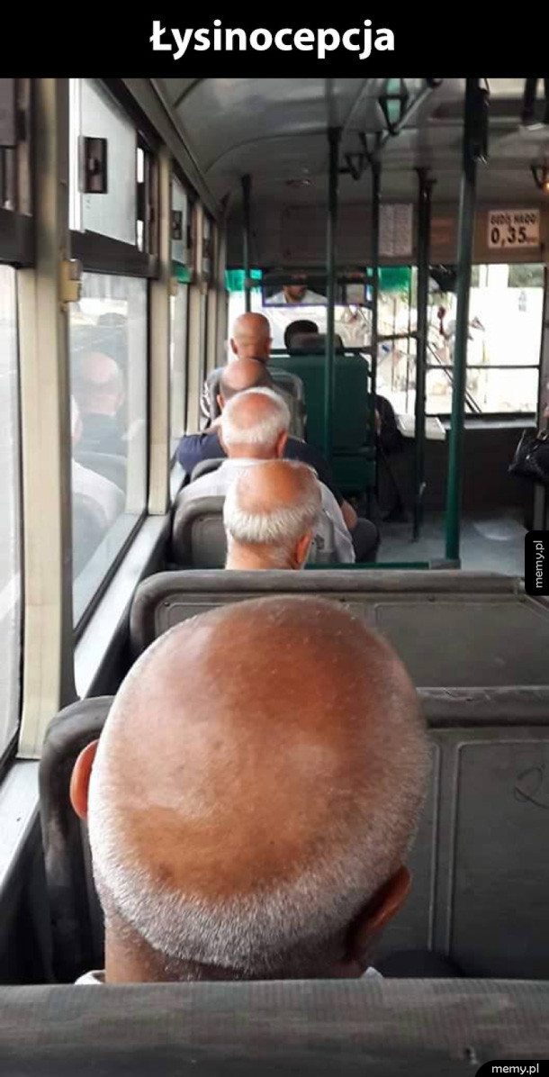 Łysinocepcja