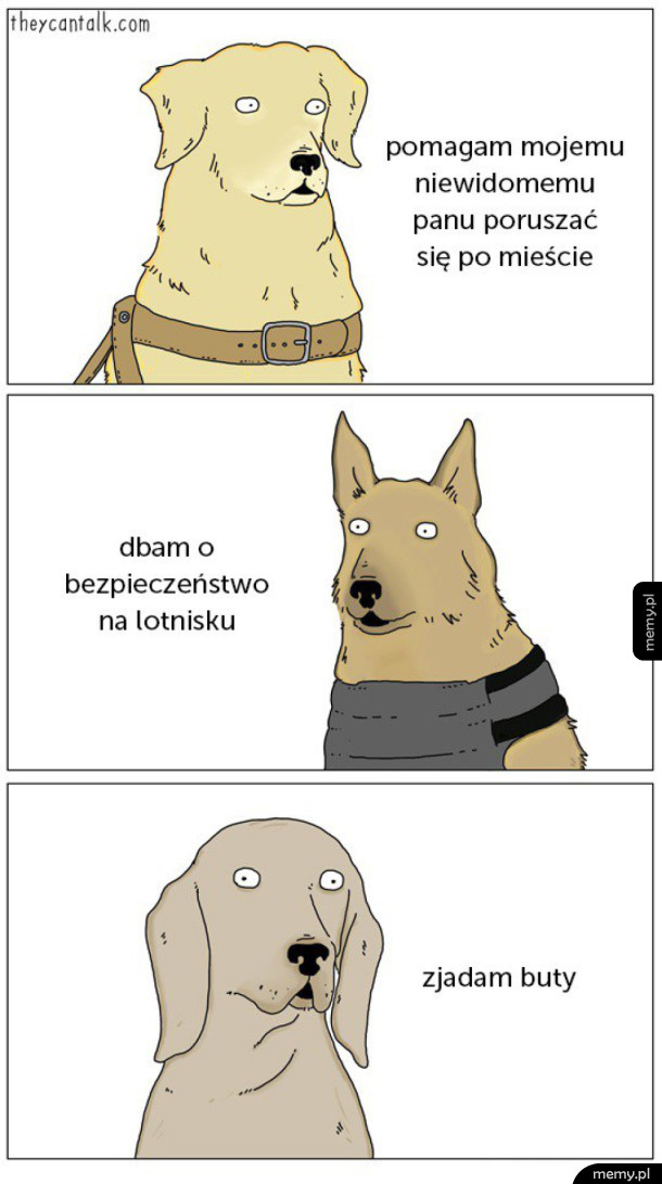 Rodzaje psów