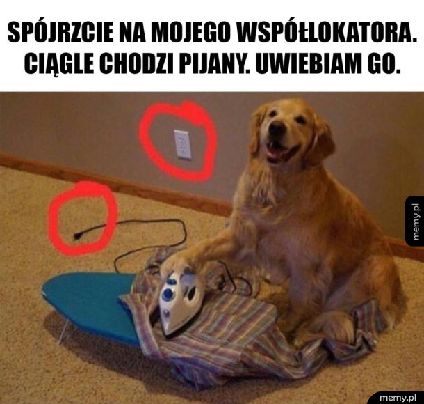 Mój współlokator