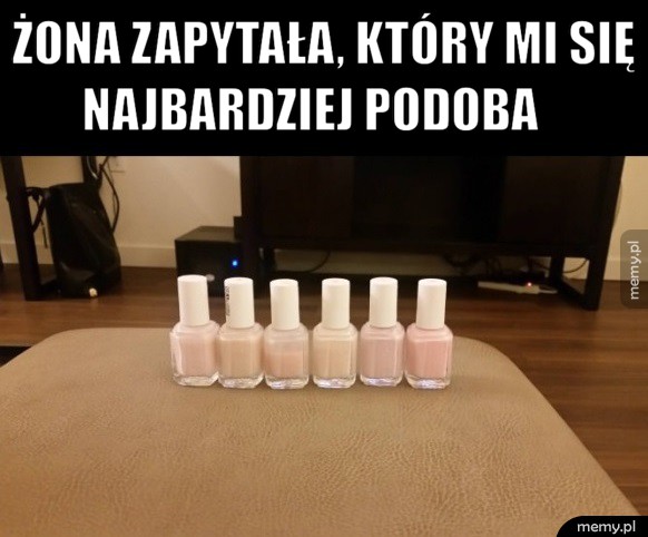 Który ładniejszy?