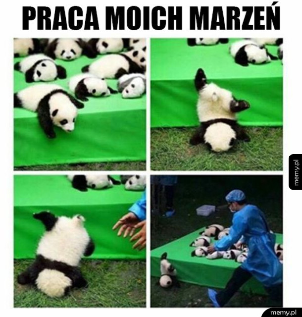 Ogarniacz pand